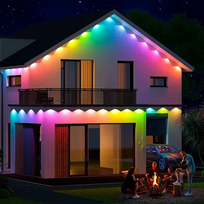 Vibrant LED Outdoor Light For Decor