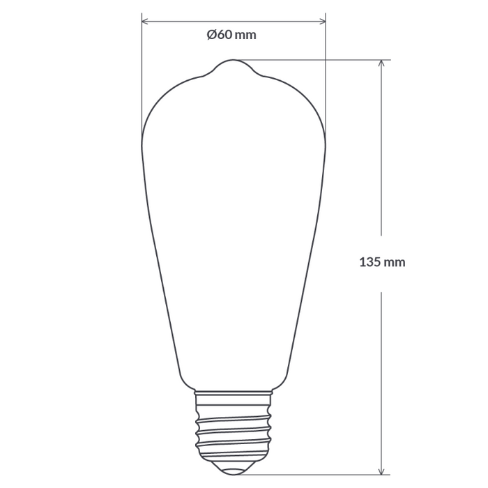 6W 12-24 Volt DC Edison Dimmable LED Light Bulb (E27) in Warm White