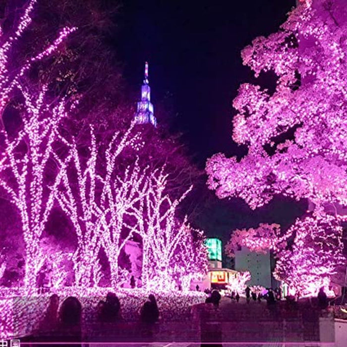 Christmas LED Twinkle Lights