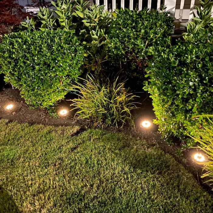 Outdoor Solar Garden Lights