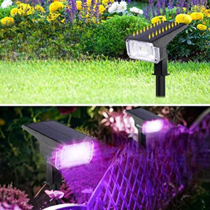 Solar Powered Yard Light