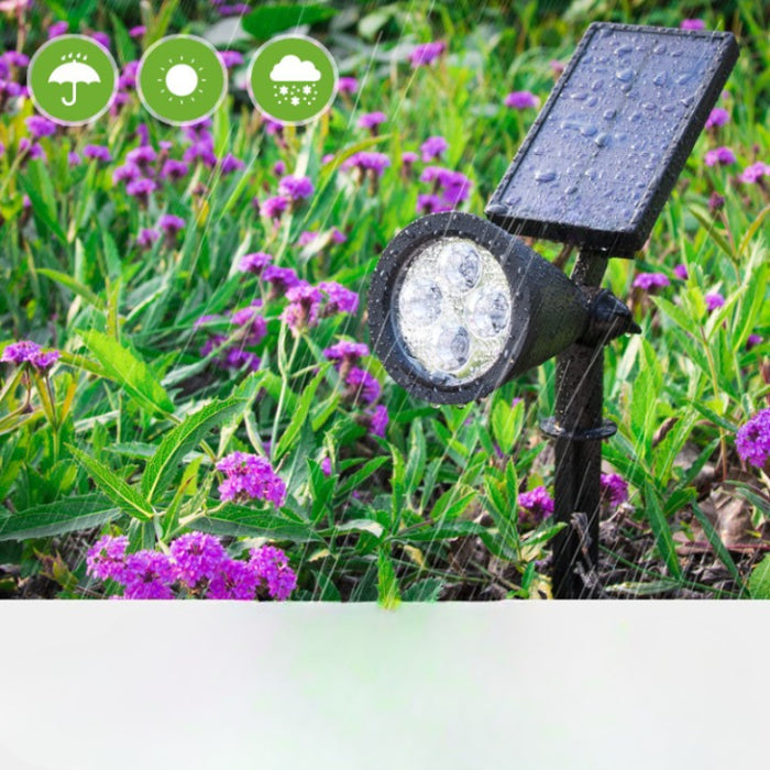 Solar Outdoor Path Lights