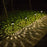 Automatic Solar Powered Pack of 8 LED Lights