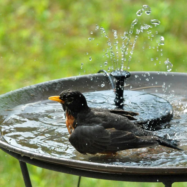 Solar Powered Fountain Pump