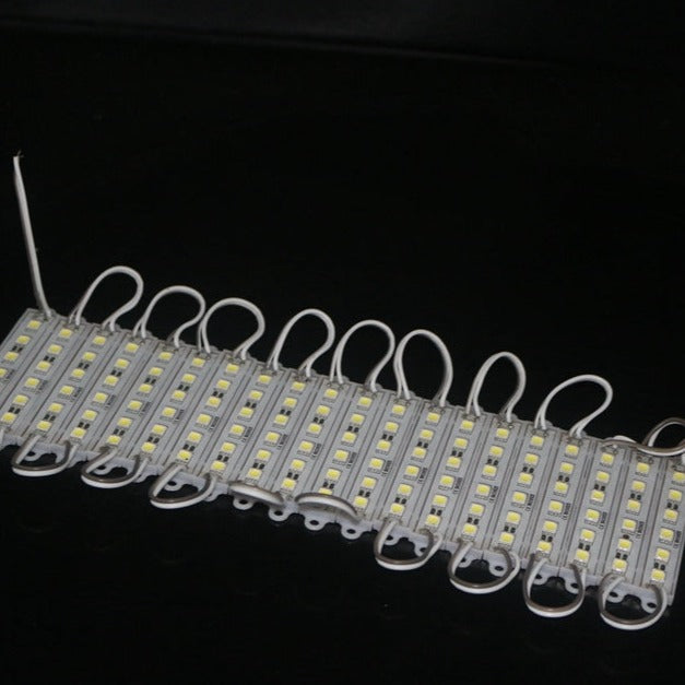 The 5050 SMD Waterproof 6 LEDs Module