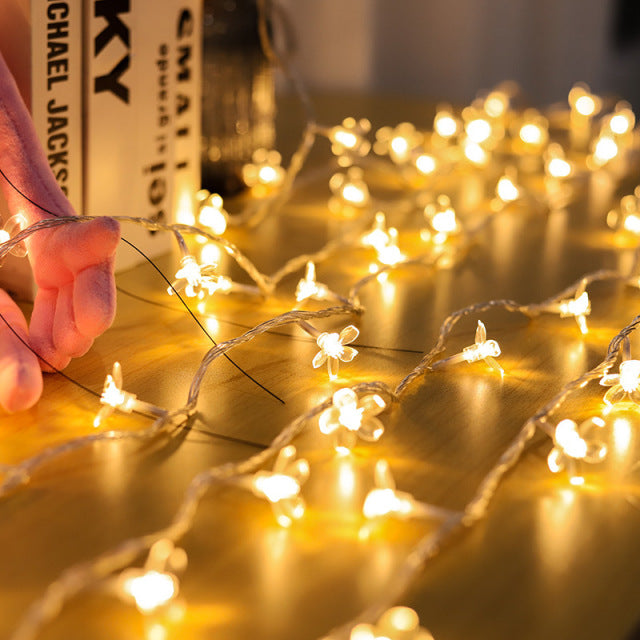 The Crystal Ball/Globe/Blossom LED Lights