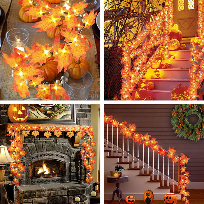 The Halloween Thanks Giving LED Lights